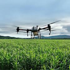 Eco Cleaning: Οικολογικά Καθαριστικά για Προσόψεις και Περιβάλλον